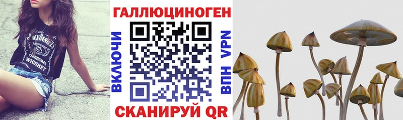 Галлюциногенные грибы мухоморы  Отрадное 