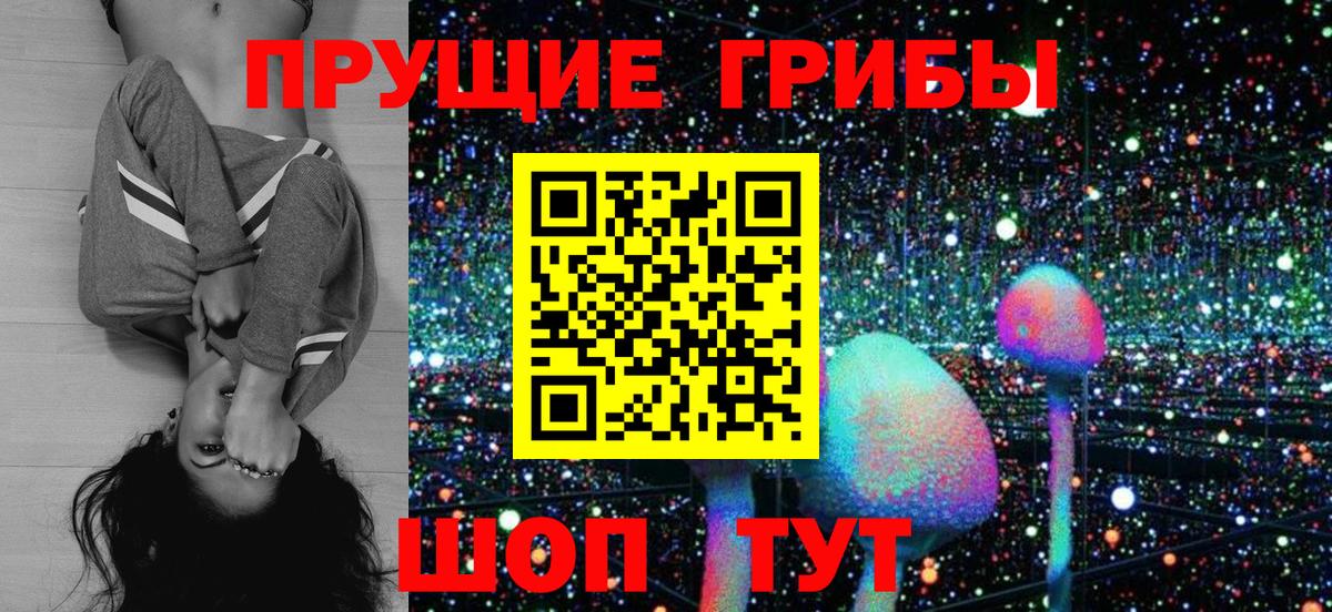 Отрадное  Галлюциногенные грибы Psilocybine cubensis  Галлюциногенные грибы Psilocybe  Вход с VPN 