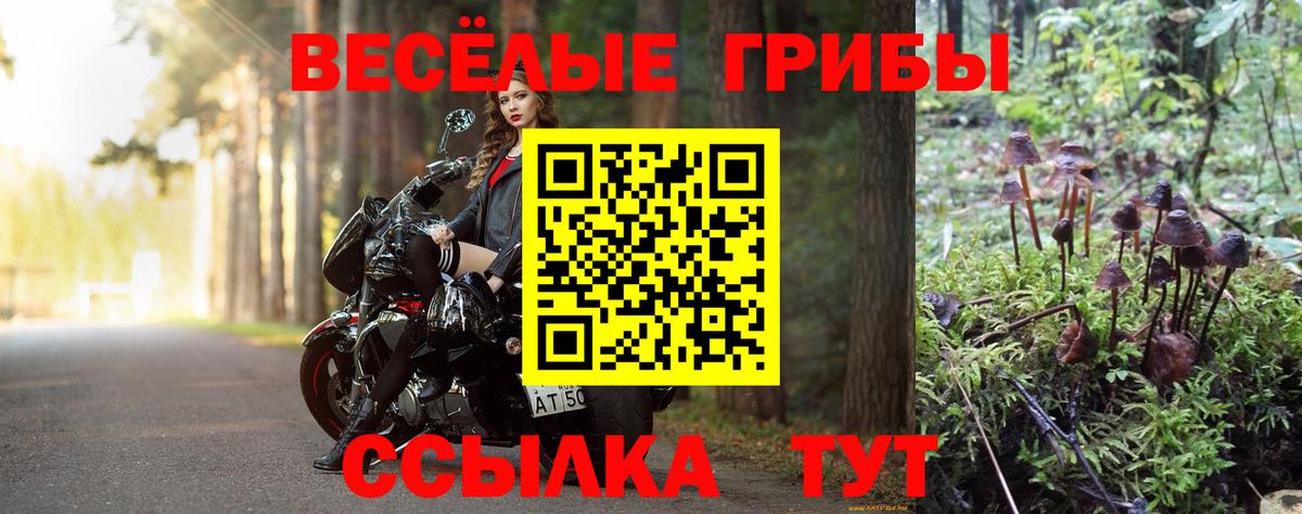 Галлюциногенные грибы Magic Shrooms  Отрадное 